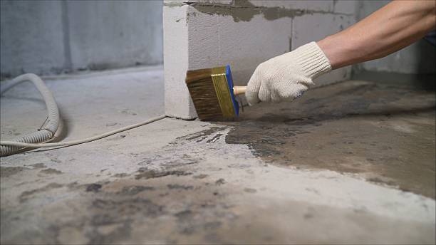 24/7 Emergency Wet Basement Repair experts in Holly Pond, AL